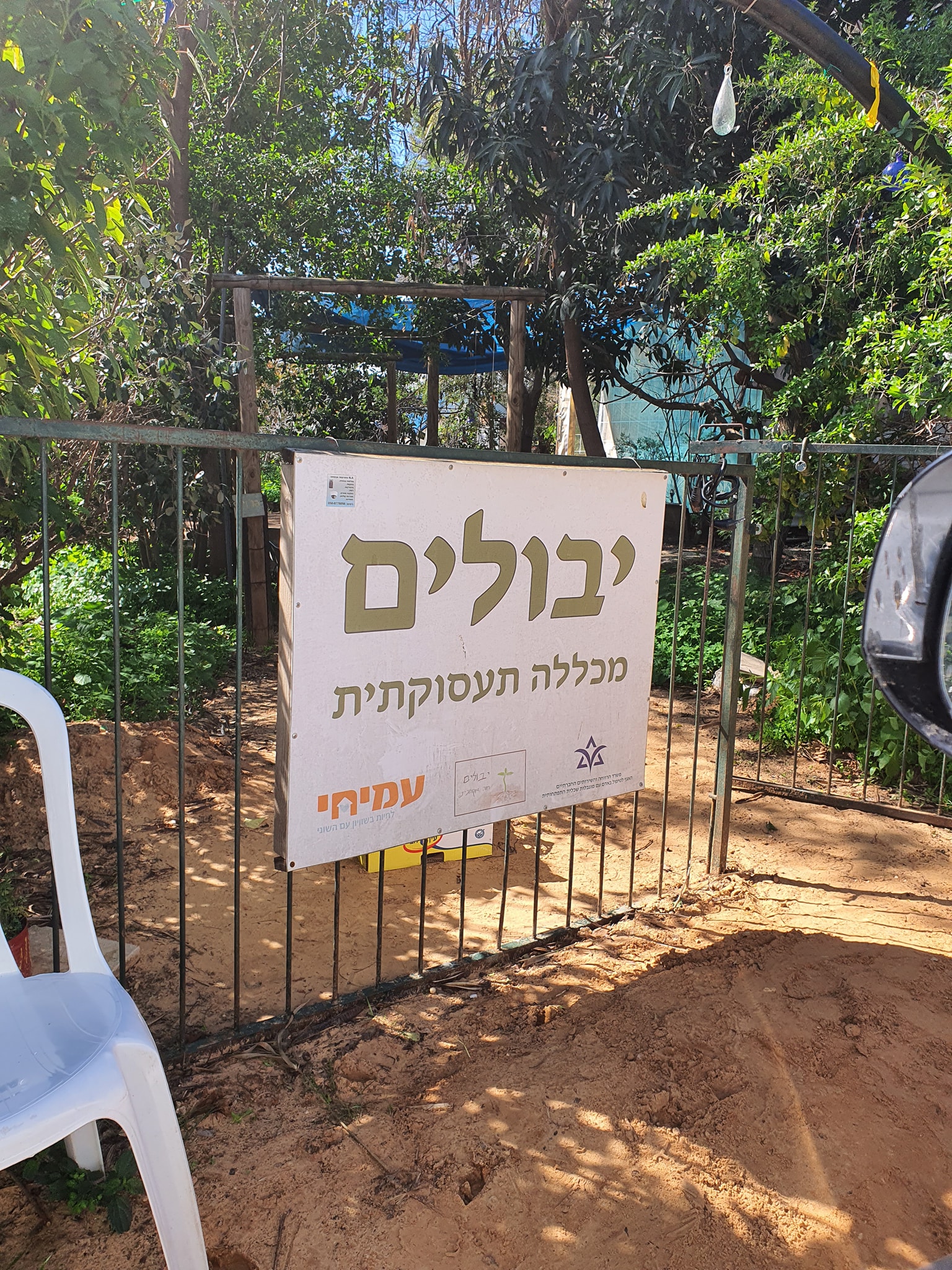 סדנת פיצה בחוות יבולים