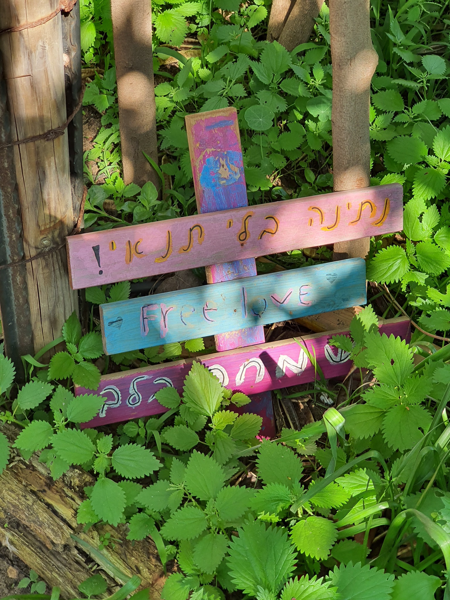 סדנת פיצה בחוות יבולים