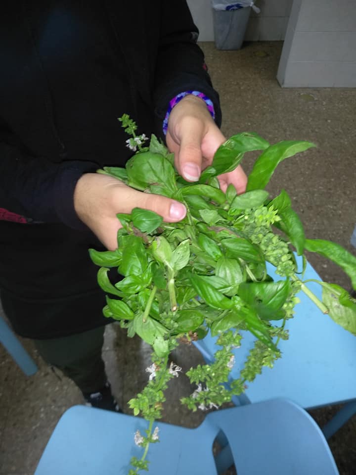 אחר צהריים איטלקי במח' הנוער