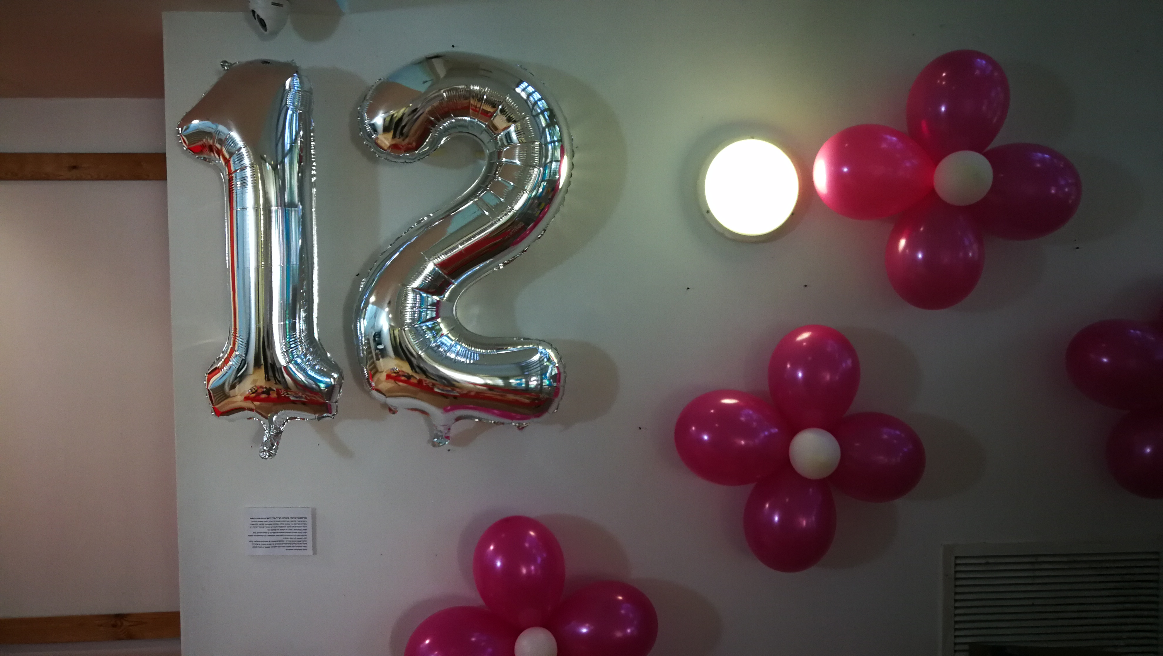 מסיבת בת/בר מצווה באברבנאל